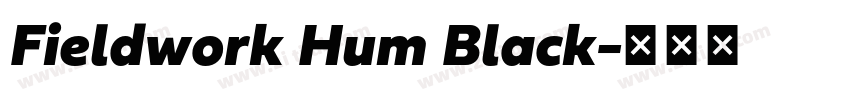 Fieldwork Hum Black字体转换